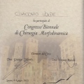 Ingrandire l'immagine: certificate 8