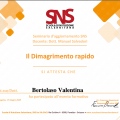 Ingrandire l'immagine: certificate 4
