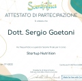Ingrandire l'immagine: certificate 4
