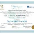 Ingrandire l'immagine: certificate 4