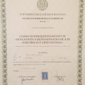 Ingrandire l'immagine: certificate 3
