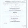 Ingrandire l'immagine: certificate 6
