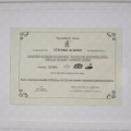 Ingrandire l'immagine: certificate 9