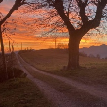 Ingrandire l'immagine: Renata Imbucci, psicologo Marzabotto