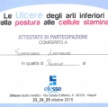 Ingrandire l'immagine: certificate 8