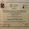 Ingrandire l'immagine: certificate 5