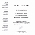 Ingrandire l'immagine: certificate 13