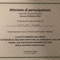 Ingrandire l'immagine: certificate 2