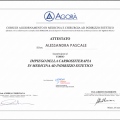 Ingrandire l'immagine: certificate 1