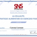 Ingrandire l'immagine: certificate 2