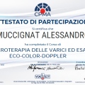Ingrandire l'immagine: certificate 3