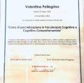 Ingrandire l'immagine: certificate 1