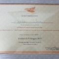 Ingrandire l'immagine: certificate 13