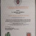 Ingrandire l'immagine: certificate 4