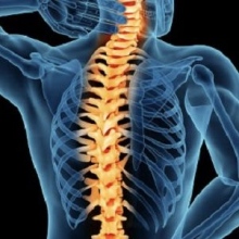 Ingrandire l'immagine: Fabrizio Sabellico, osteopata Roma