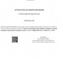 Ingrandire l'immagine: certificate 9