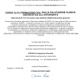 Ingrandire l'immagine: certificate 1