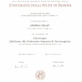 Ingrandire l'immagine: certificate 1
