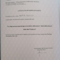 Ingrandire l'immagine: certificate 5