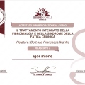 Ingrandire l'immagine: certificate 12