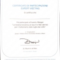 Ingrandire l'immagine: certificate 12