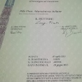 Ingrandire l'immagine: certificate 1