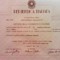 Ingrandire l'immagine: certificate 1