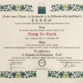 Ingrandire l'immagine: certificate 1