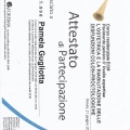 Ingrandire l'immagine: certificate 7