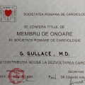 Ingrandire l'immagine: certificate 7