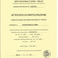 Ingrandire l'immagine: certificate 4