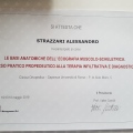 Ingrandire l'immagine: certificate 4