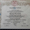 Ingrandire l'immagine: certificate 1