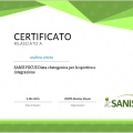 Ingrandire l'immagine: certificate 8