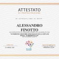 Ingrandire l'immagine: certificate 11