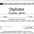 Ingrandire l'immagine: certificate 2