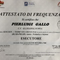 Ingrandire l'immagine: certificate 1