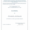 Ingrandire l'immagine: certificate 32