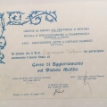 Ingrandire l'immagine: certificate 4