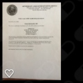 Ingrandire l'immagine: certificate 6