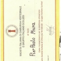 Ingrandire l'immagine: certificate 11