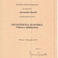 Ingrandire l'immagine: certificate 23