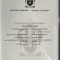 Ingrandire l'immagine: certificate 1