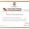Ingrandire l'immagine: certificate 40