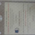 Ingrandire l'immagine: certificate 2