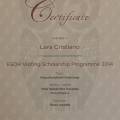 Ingrandire l'immagine: certificate 3