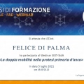 Ingrandire l'immagine: certificate 9