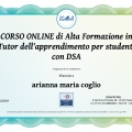 Ingrandire l'immagine: certificate 4
