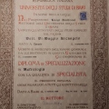 Ingrandire l'immagine: certificate 2