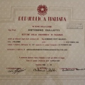 Ingrandire l'immagine: certificate 2